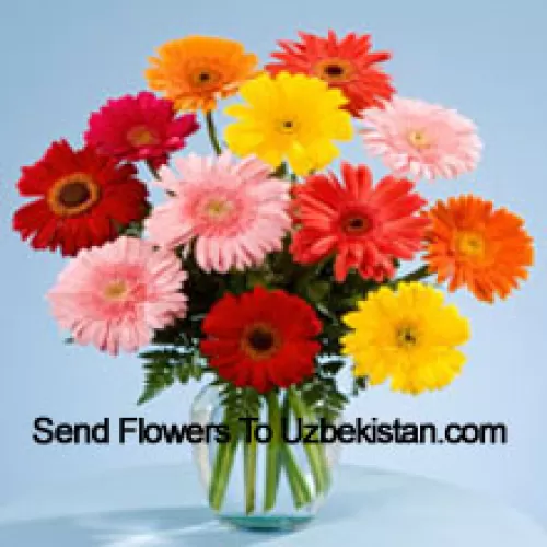 11 Gerberas Mélangés de Couleurs Dans un Vase