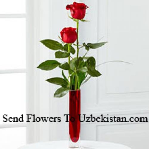 2 Sweet Red Roses in Vase