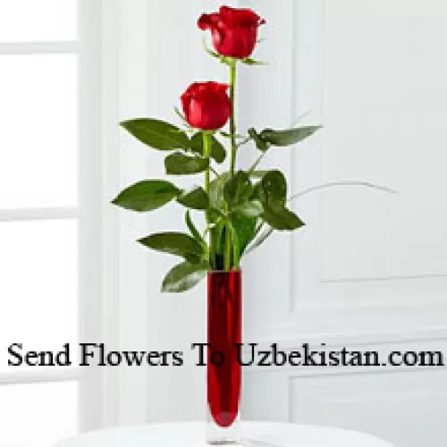 Two Red Roses In A Red Test Tube Vase (We Reserve The Right To Substitute The Vase In Case Of Non-Availability. Limited Stock)